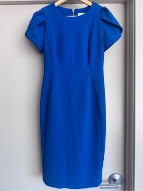 Calvin Klein Cobalt Blue Tulip Sleeve Sheath Dress